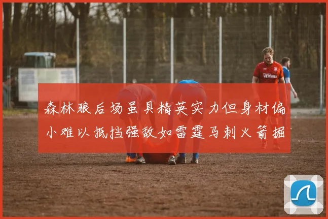 森林狼后场虽具精英实力但身材偏小难以抵挡强敌如雷霆马刺火箭掘金