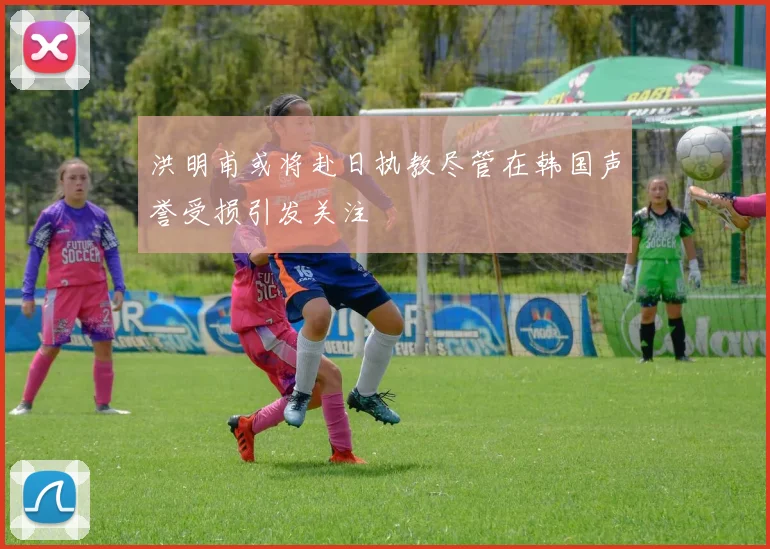 洪明甫或将赴日执教尽管在韩国声誉受损引发关注